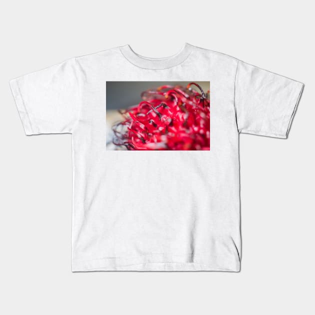 Outside of Rambutan Kids T-Shirt by KensLensDesigns